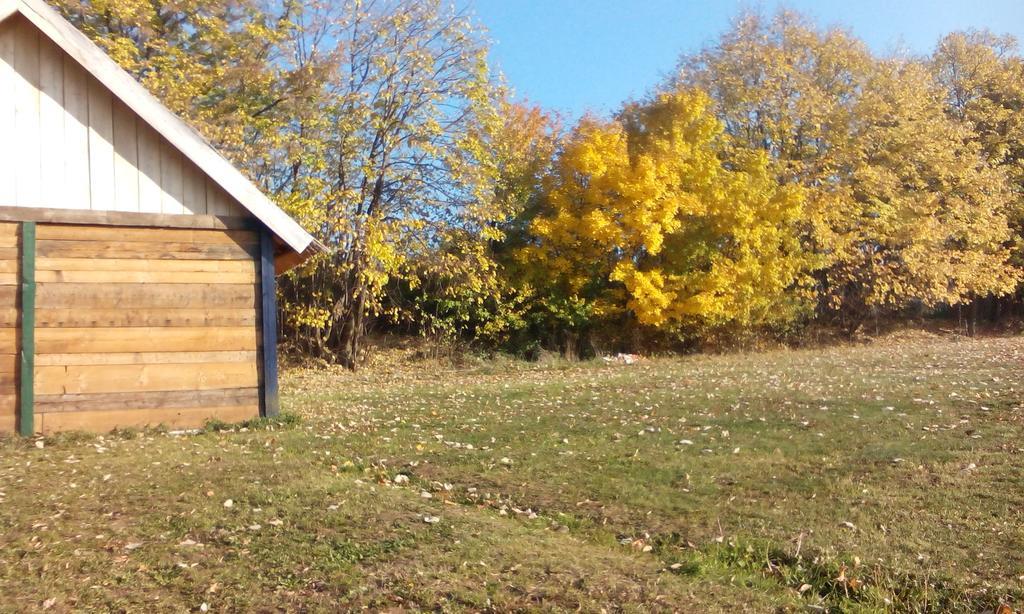 Lodging Vidmar Karlóca Szoba fotó
