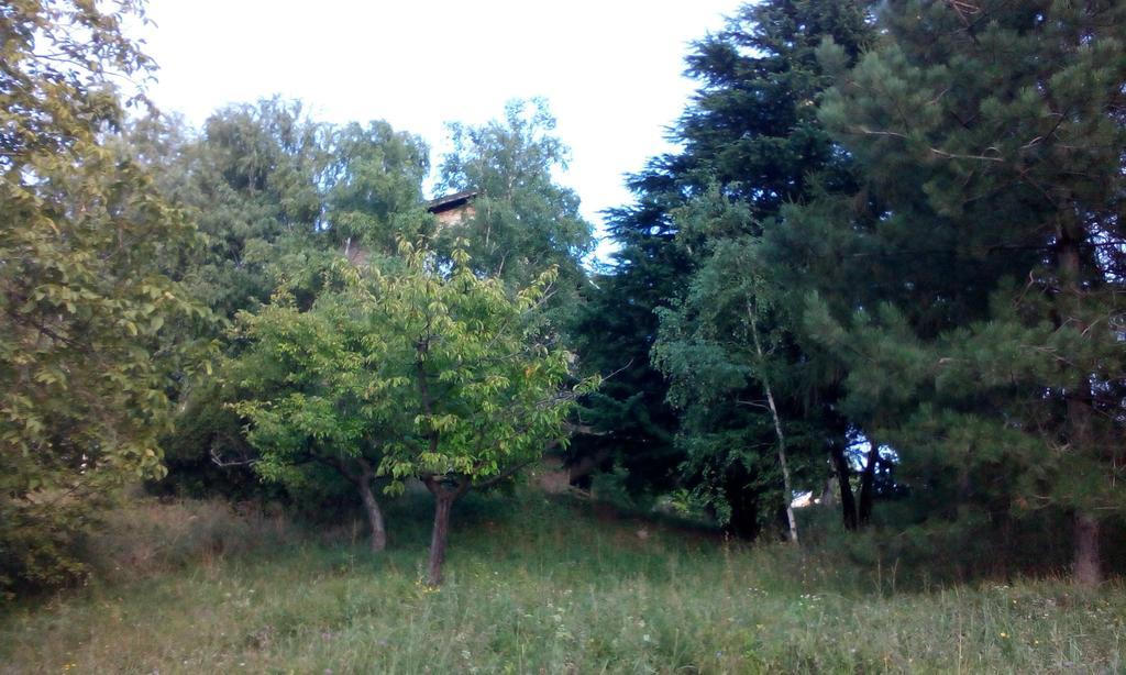 Lodging Vidmar Karlóca Szoba fotó