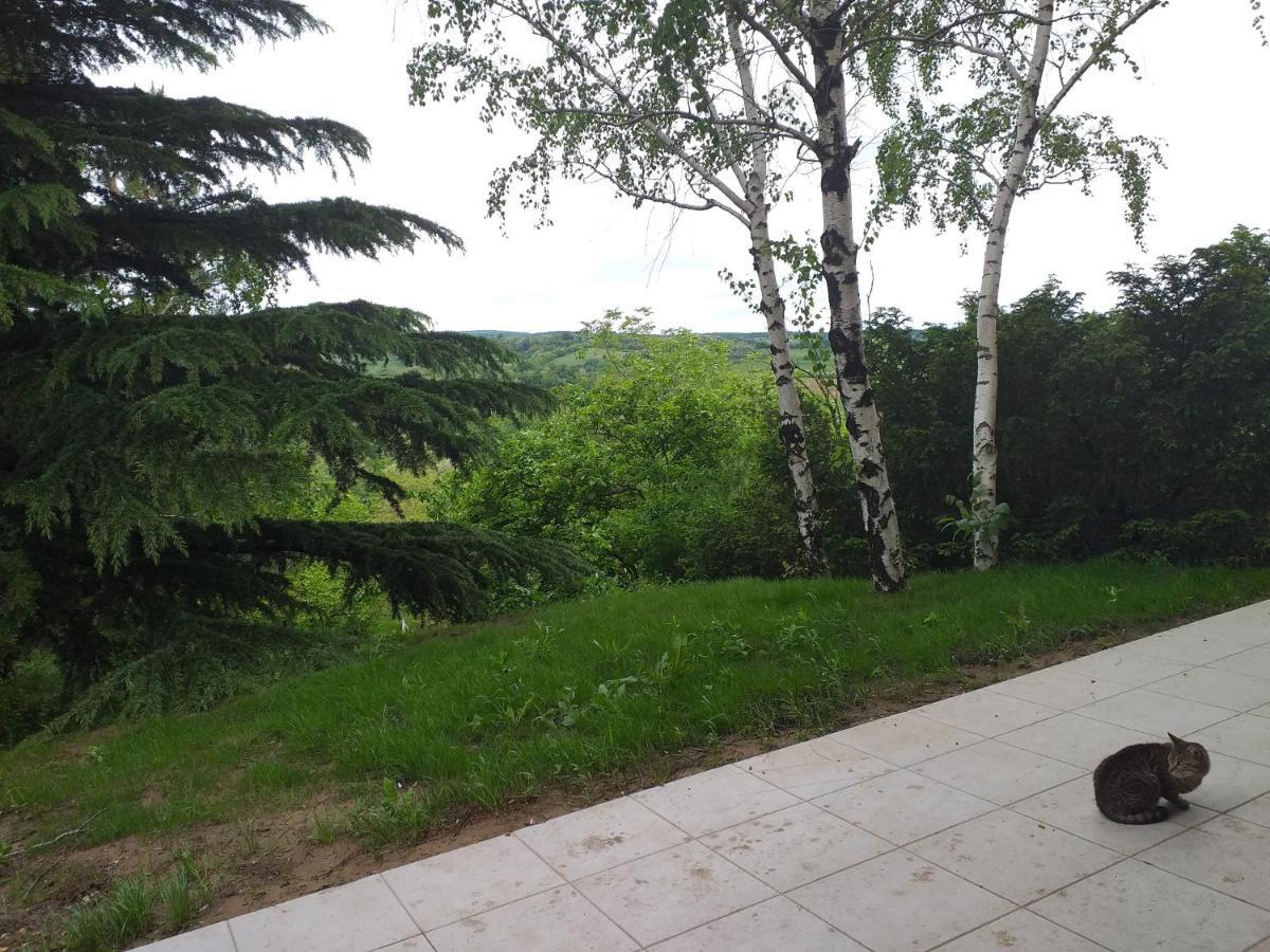 Lodging Vidmar Karlóca Kültér fotó
